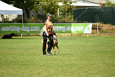 ne pas toucher Aaron