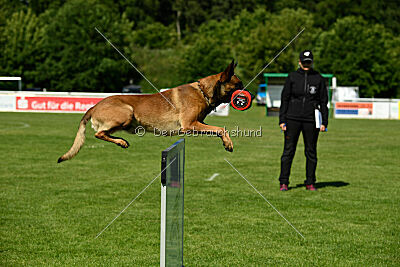 ne pas toucher Aaron