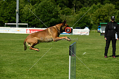 ne pas toucher Aaron