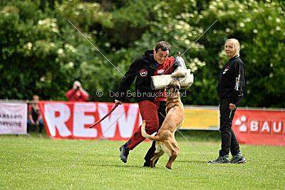 ne pas toucher Ambra