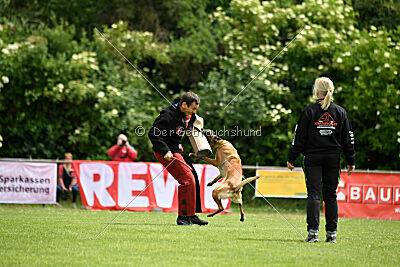 ne pas toucher Ambra