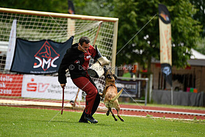 ne pas toucher Ambra