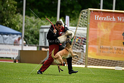 ne pas toucher Ambra