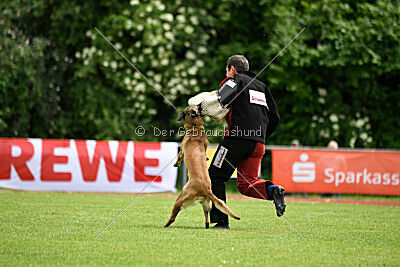 ne pas toucher Ambra