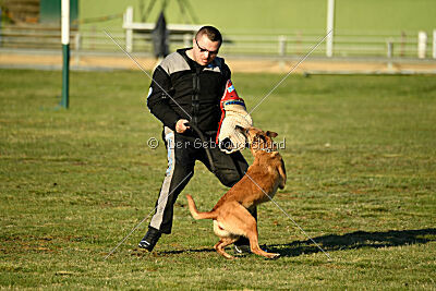 ne pas toucher Amy Winehouse
