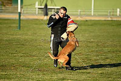 ne pas toucher Amy Winehouse