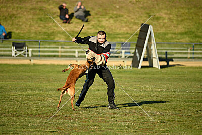 ne pas toucher Amy Winehouse