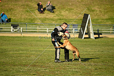 ne pas toucher Amy Winehouse