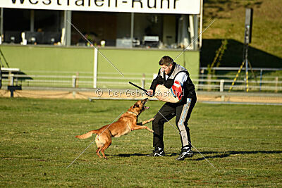 ne pas toucher Amy Winehouse