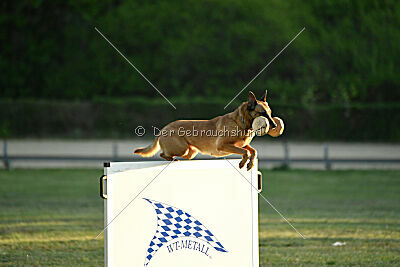 ne pas toucher Amy Winehouse