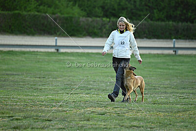 ne pas toucher Amy Winehouse