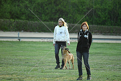 ne pas toucher Amy Winehouse