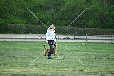 ne pas toucher Amy Winehouse