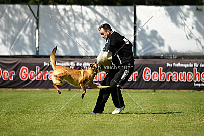 working-dog Gwendolin