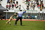 Boss Belrott