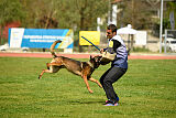 Genius Team Veranis K-9 Center
