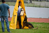 Genius Team Veranis K-9 Center