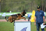 Genius Team Veranis K-9 Center
