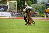Boomer vom Further Moor