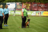 Figlio von Alt-Bayern