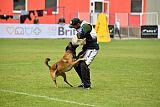 Bullet Mapet
