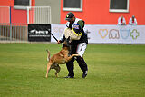 Bullet Mapet
