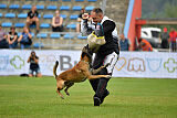 Bullet Mapet