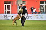 Bullet Mapet