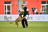 Bullet Mapet