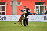 Bullet Mapet