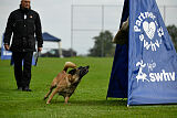 Brianna vom Giannioti Sports Dog