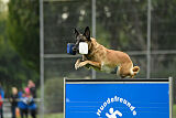 Brianna vom Giannioti Sports Dog