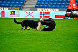 Wilckens Aron