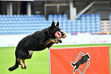 Wilckens Aron