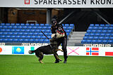Xero vom Waisagrund