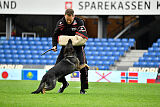 Adele Canis Invictus