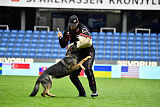 Adele Canis Invictus