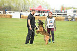 Storm Marinchuk K-9