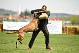 Hector vom Roten Sturm