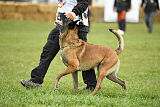 Einstein Force Canina