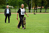 Friedel vom schnellen Falken