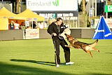 Crazy Canis Invictus