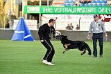 Naresh vom Tollhaus