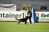 Broxx Canis Invictus