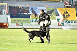 Figo von der Grenze