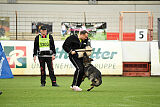 Boomer vom Wolfsdreieck