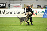 Xmolly vom Wolfsdreieck