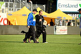 Al Pacino vom Peiner Burgpark