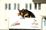 Cor von Starker Wille