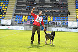 Leo de Jardines del Real